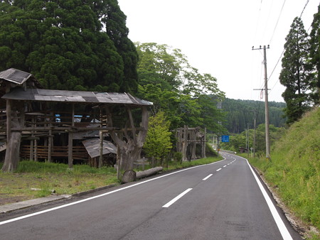 P6013516