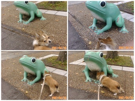 かえる