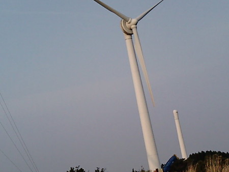 F1010423