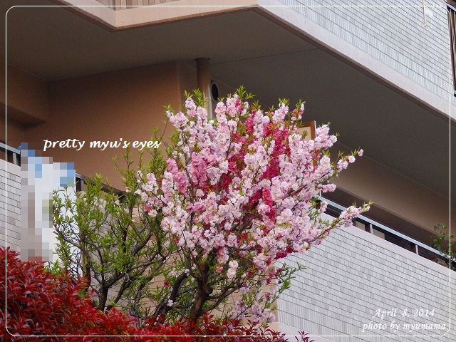 写真: s-022