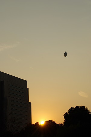 墨田区役所と遊覧飛行船