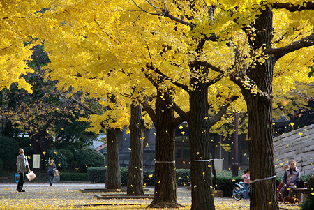 震災記念堂　横網町公園