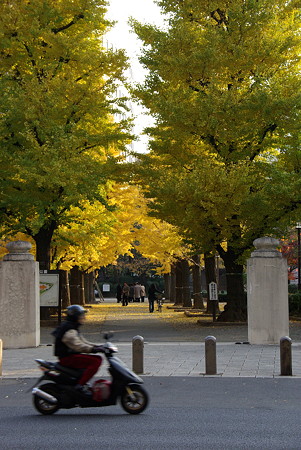 震災祈念堂　横網町公園