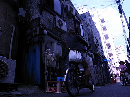 蒼の裏道