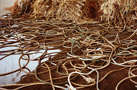 Image0451(ASAHI PENTAX SP)