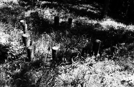Image0075BW（Canon VT）