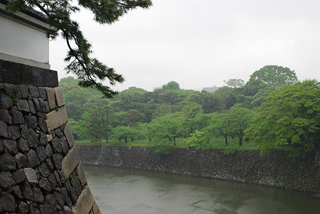 IMGP4107