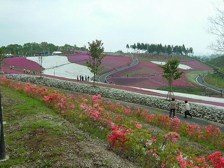 DSCF2647