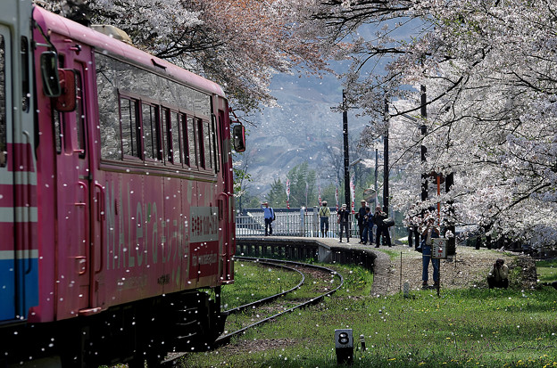 桜列車 樽見鉄道谷汲口駅 1 写真共有サイト フォト蔵