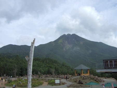 あ！トンボだ！
