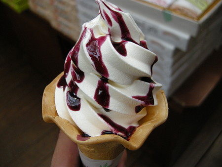 DSCN0199