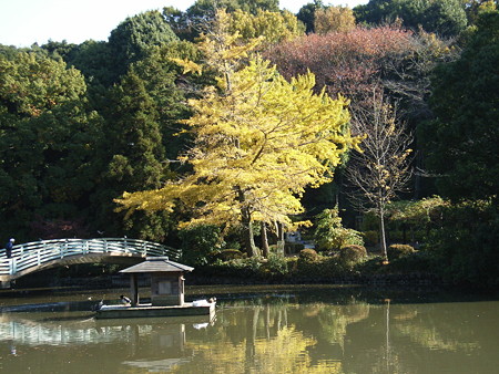 071125YAKUSHIIKE (24)