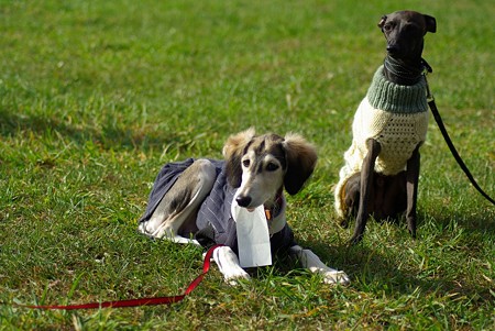 IMGP6254_1024