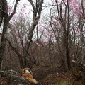 Photos: P4220673