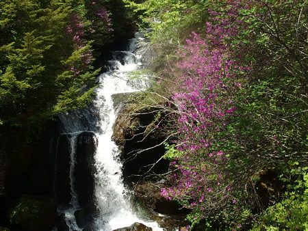 P6020227