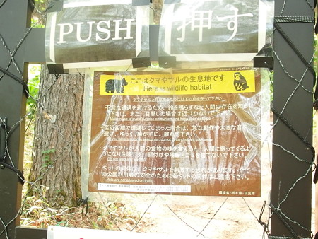 P6020242