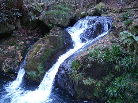 るり渓～篠山 010