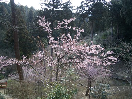 石山寺 027