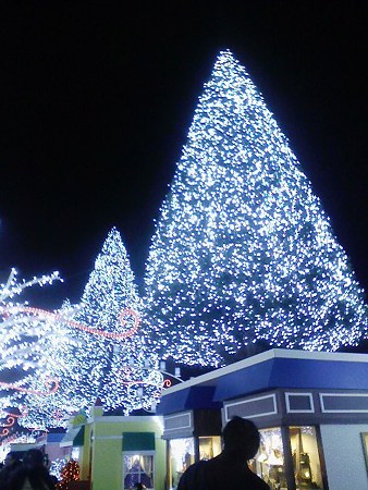 081227-テラス夜 (39)