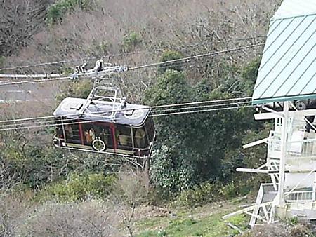 20090104-日本平山頂 (8)