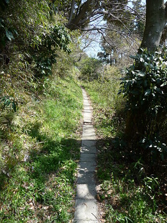 090403-鎌倉 通学路 (7)