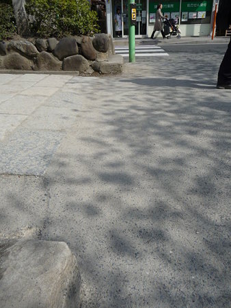 090403-段葛 (9)