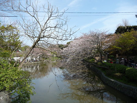 090403-八幡様 (6)