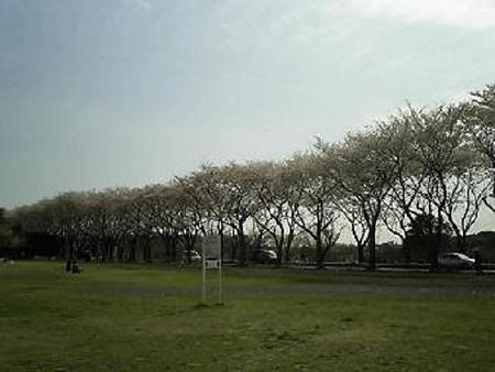 080402-ゲートの近く (1)