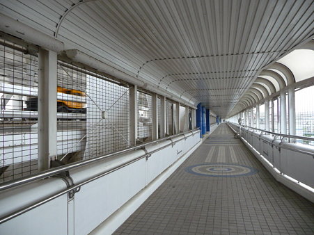 090523-スカイウォーク復路