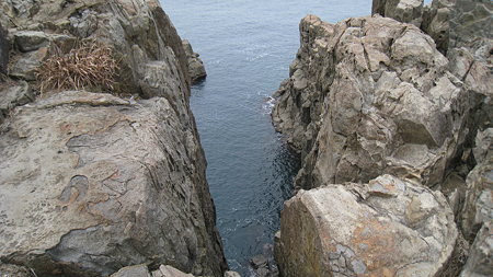 toujinbou