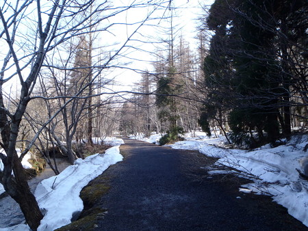 2014041901