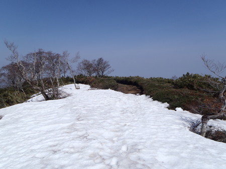 2014041908