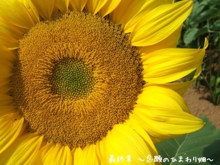 070808