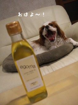080404