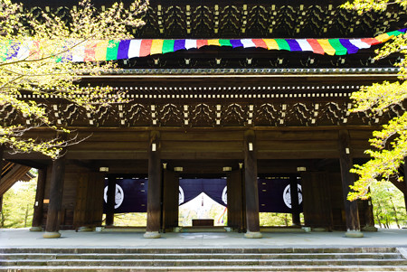 知恩院 三門