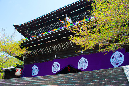 知恩院 三門