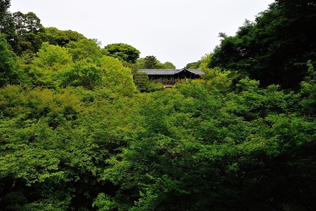 東福寺