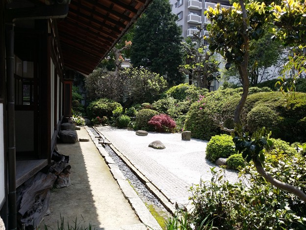 常光寺　石庭