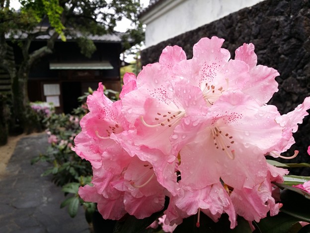 耕三寺