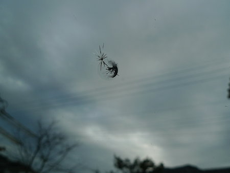 090215hidan
