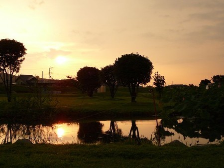 夕日