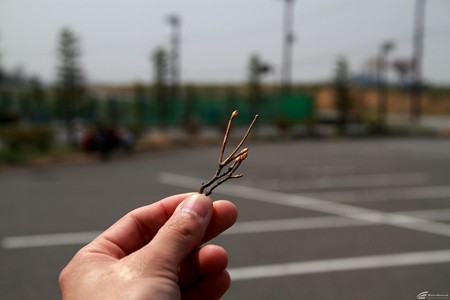 Blog_20140428_007