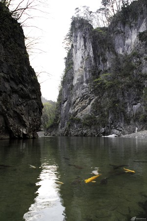 Blog_20140428_021