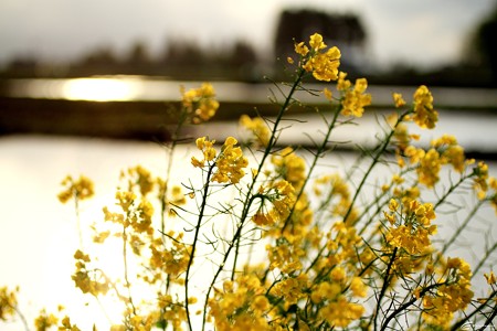 Blog_20140518_008