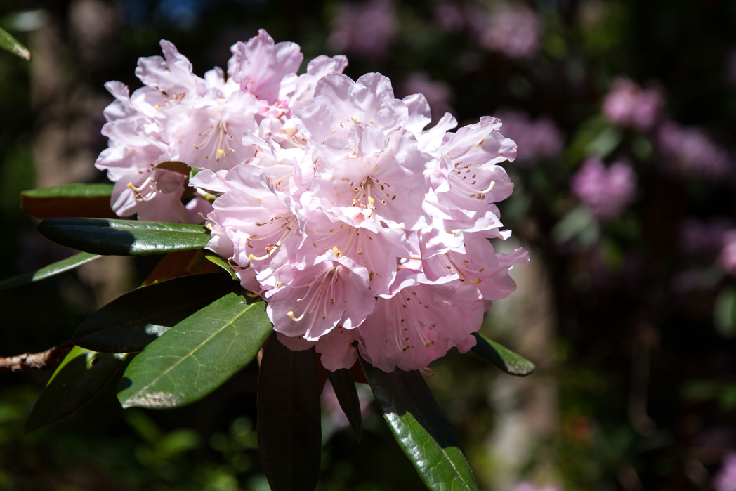 写真: IMG_3172