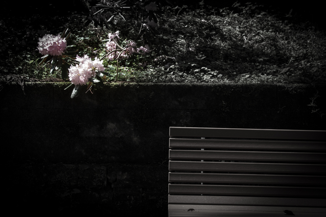 写真: IMG_3179