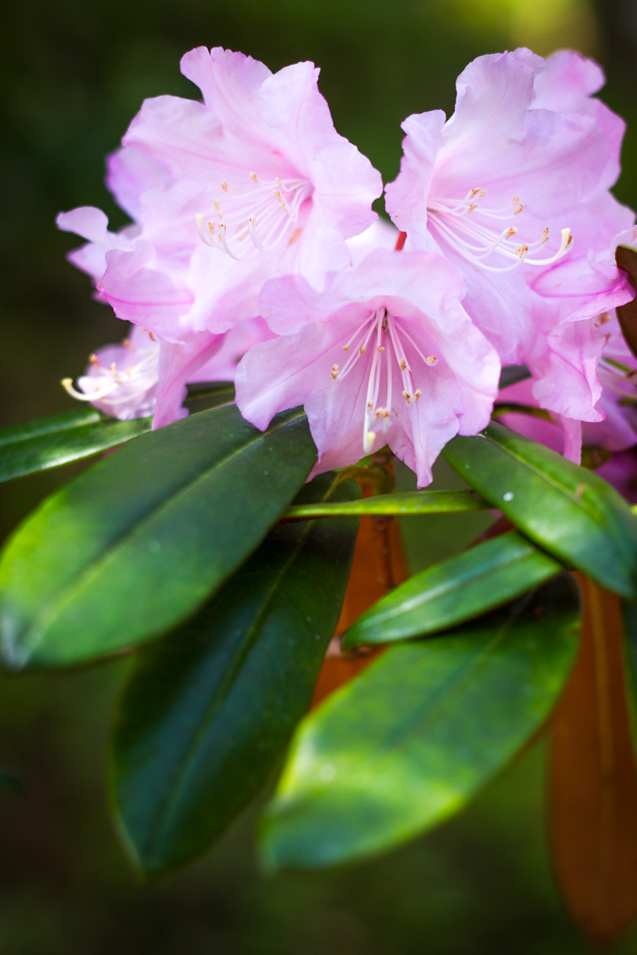 写真: IMG_3197