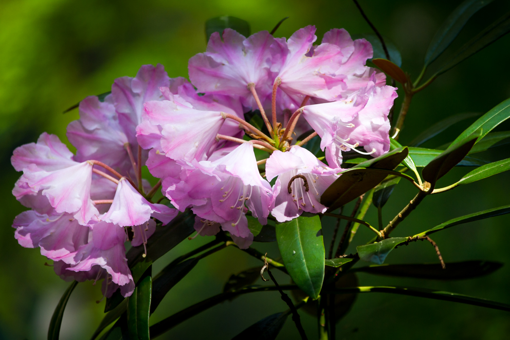 写真: IMG_3348