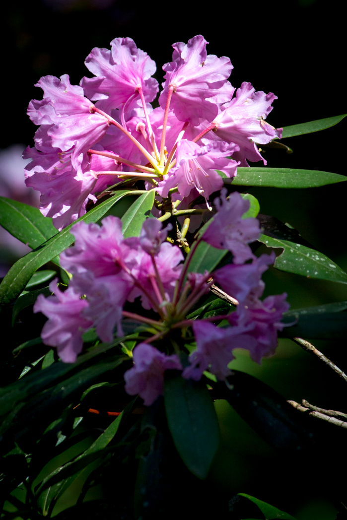 写真: IMG_3358