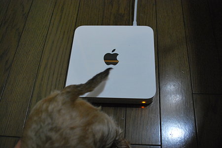 Time Capsule